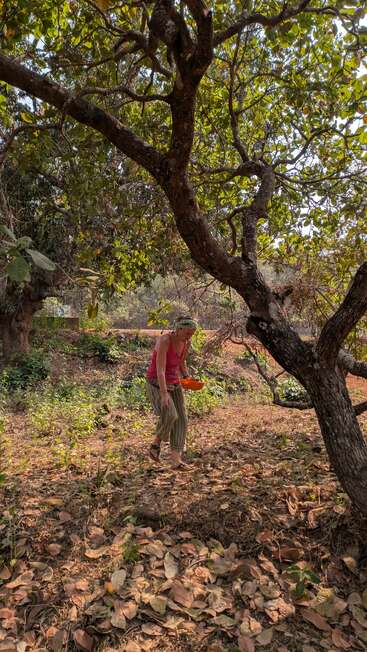 Une personne vêtue d'un pantalon rayé et d'un haut rose marche sous un grand arbre, portant un bol orange, entourée de la lumière du soleil, des feuilles et du sol forestier terreux.