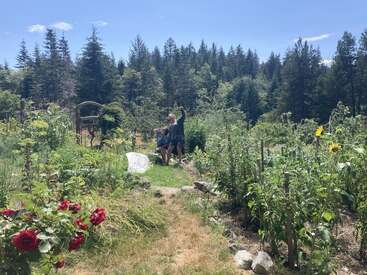 Ein üppiger Garten mit blühenden Blumen, hohen Sonnenblumen und verschiedenen Pflanzen. In der Mitte stehen zwei Menschen, von denen einer einen Arm hebt, umgeben von bewaldeten Hügeln.