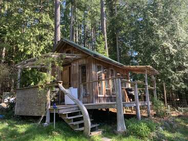In einem üppigen Wald steht eine kleine, rustikale Holzhütte, umgeben von hohen Bäumen. Das Sonnenlicht fällt durch die Bäume und taucht die Veranda, die Treppe und die friedliche Naturlandschaft in ein warmes Licht.