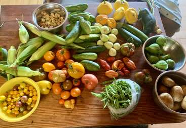 Eine bunte Auswahl an frischem Gemüse auf einem Holztisch: Tomaten, Kürbis, Gurken, Mais, Kartoffeln, Bohnen, Paprika, Tomatillos und Erdkirschen in Schalen.