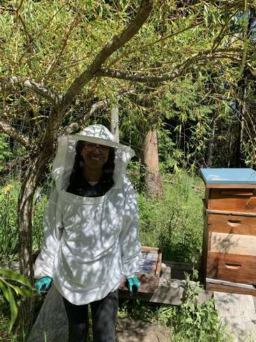 A person in a white beekeeping suit and gloves stands under a leafy tree beside colorful beehives, smiling in a sunlit, green garden setting.