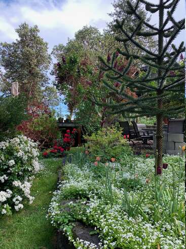A lush garden with blooming white and red flowers, green grass, a unique tree, patio furniture, and vibrant foliage under a partly cloudy sky. Peaceful scene.