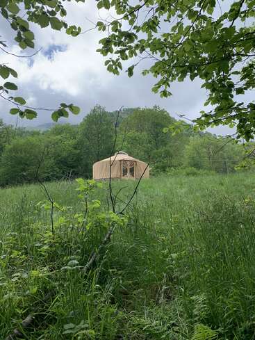 Uma iurta bege fica sozinha em um prado verde exuberante, cercada por árvores e sob um céu nublado, criando um retiro tranquilo e isolado na natureza.