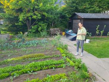 Uma mulher rega uma horta exuberante com fileiras bem organizadas de plantas, cercada por vegetação, um galpão de madeira, móveis de jardim e uma folhagem vibrante e saudável.