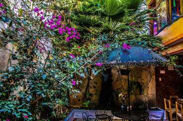 Esse pátio charmoso tem plantas verdes exuberantes, flores roxas vibrantes, móveis de ferro forjado, um guarda-sol decorativo e paredes coloridas, criando um refúgio ao ar livre aconchegante e convidativo.