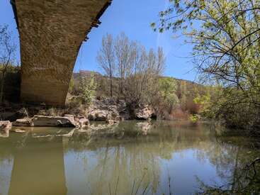 Une scène fluviale sereine, avec des eaux calmes, entourée d'arbres et de rochers. Un grand pont projette son ombre sur la rivière, créant une atmosphère paisible et naturelle.