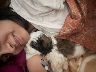 Uma pessoa e um cachorrinho fofinho estão se aconchegando debaixo de um cobertor estampado, ambos parecendo confortáveis e satisfeitos, compartilhando um momento doce e tranquilo de carinho.