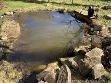 Ein kleiner Teich, umgeben von Felsen und grasbewachsenen Ufern, spiegelt die Äste der Bäume wider. Eine Filterpumpe steht auf einer Holzplattform am Ufer im Sonnenlicht.
