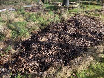 Ein Gartenbeet, das mit einer dicken Schicht brauner, abgefallener Blätter bedeckt ist, umgeben von hohem Gras und Unkraut, mit einer Feuerstelle aus Stein im Hintergrund.