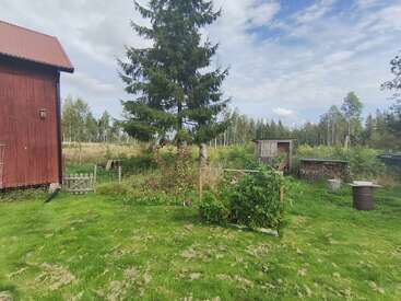 A countryside scene with a red wooden building, green lawn, small garden area, large evergreen tree, outbuildings, wood stacks, and trees under a partly cloudy sky.