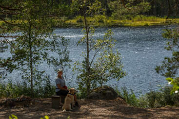 A person sits on a bench by a calm lake, accompanied by a light-colored dog. Trees surround them, and sunlight sparkles on the water's surface.