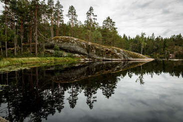 A serene forest scene features tall pine trees and a large rock by a calm lake, perfectly reflecting the trees and sky on its surface.