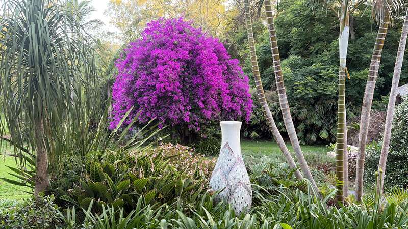 Ein leuchtend violetter blühender Busch dominiert den üppig grünen Garten, ergänzt durch hohe Palmen und eine mosaikverzierte skulpturale Vase im Vordergrund.