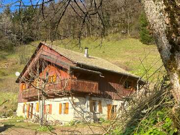 A charming wooden chalet with stone foundation stands on a sunlit hillside, surrounded by bare trees and lush greenery, under a clear blue sky.
