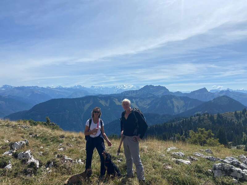 Two people and two dogs are standing on a grassy mountain slope, surrounded by rocks, with a stunning panoramic view of distant mountain ranges under a blue sky.