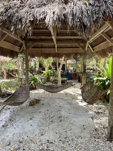 The image depicts a serene outdoor setting with a thatched roof hut, featuring two hammocks, lush greenery, and a sandy floor, exuding a tropical ambiance.