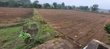 This image shows a large, freshly plowed agricultural field bordered by green grass and trees in the distance, under a cloudy sky, with some scattered plants.