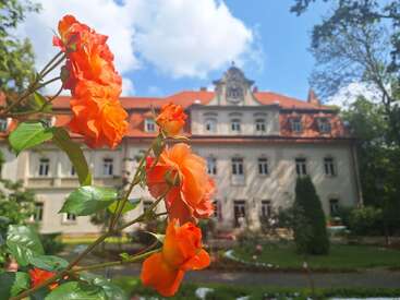 Des fleurs orange vif s'épanouissent avec éclat au premier plan, formant un contraste saisissant avec l'élégante façade d'un grand bâtiment historique au toit rouge, entouré de jardins luxuriants.