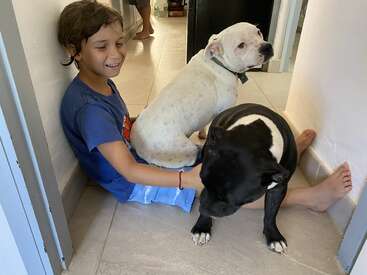 A young boy sits on the floor with two dogs, one white and one black, in a hallway with white walls and tiled floors.