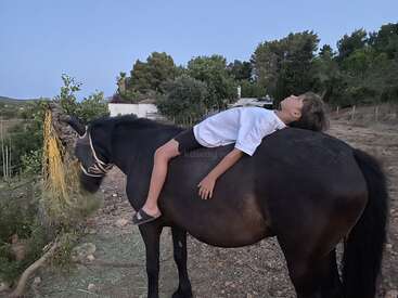 A young boy is lying on the back of a dark brown horse, with his head resting on its neck, in a rural setting.
