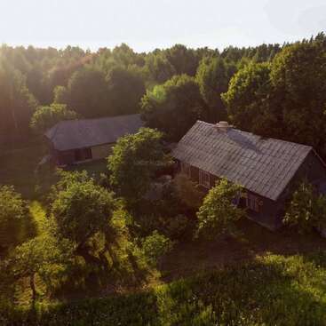 Esta imagen muestra un paisaje rural rústico con dos edificios de madera rodeados de frondosos árboles verdes y la luz del sol filtrándose entre ellos, lo que crea un ambiente tranquilo y sereno.