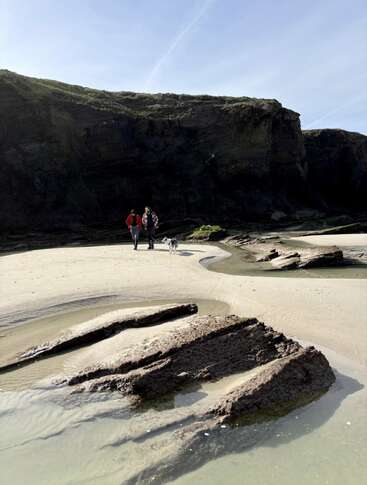 Two people and a dog walk along a sandy beach, surrounded by rocky cliffs and shallow tidal pools, under a bright blue sky with sunlight.