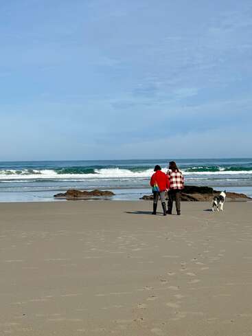 Ein Paar spaziert mit einem Hund an einem Sandstrand entlang und hinterlässt Fußspuren. Die Wellen brechen sanft, und der Himmel darüber ist klar und blau.