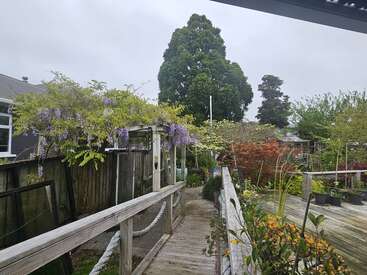 Une scène paisible dans un jardin avec une passerelle en bois, des vignes fleuries, une végétation luxuriante, des plantes colorées et de grands arbres sous un ciel nuageux, créant une atmosphère sereine.
