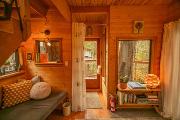 This cozy wooden cabin interior features a cushioned bench, decorative pillows, bookshelf, soft lighting, large windows with tree views, curtains, and a warm, inviting atmosphere.