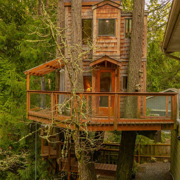 Ein bezauberndes Baumhaus aus Holz inmitten hoher Bäume mit einer umlaufenden Terrasse, großen Fenstern und rustikalen Holzschindeln, die sich harmonisch in den umliegenden grünen Wald einfügen.