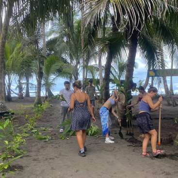 Eine Gruppe von Menschen arbeitet gemeinsam an einem tropischen Strand, pflanzt Grünzeug und gräbt im Sand zwischen Palmen, um einen Beitrag zu einem Umwelt- oder Gemeinschaftsprojekt zu leisten.