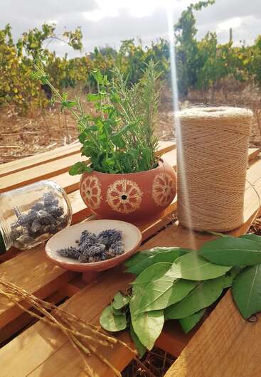 L'image représente un cadre extérieur serein, avec une table en bois ornée d'une plante en pot, d'herbes et de ficelle, sur fond d'arbres et de ciel nuageux.