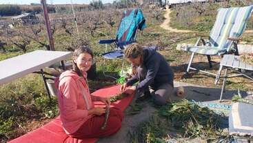 L'image représente deux femmes assises par terre dans un champ, en train de bricoler avec de la verdure. Elles sont entourées de chaises, d'une table et d'autres objets.