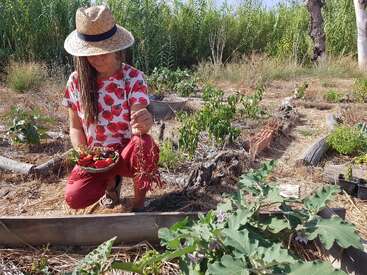 Une femme portant un chapeau et une chemise colorée est agenouillée dans un jardin, récoltant des légumes et des fruits frais, entourée de plantes vertes luxuriantes par une journée ensoleillée.