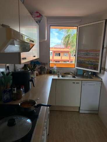 Uma cozinha pequena com armários brancos, uma janela aberta, uma palmeira visível lá fora, água suja da louça, fogão com panela, eletrodomésticos de bancada, utensílios e muita luz natural.