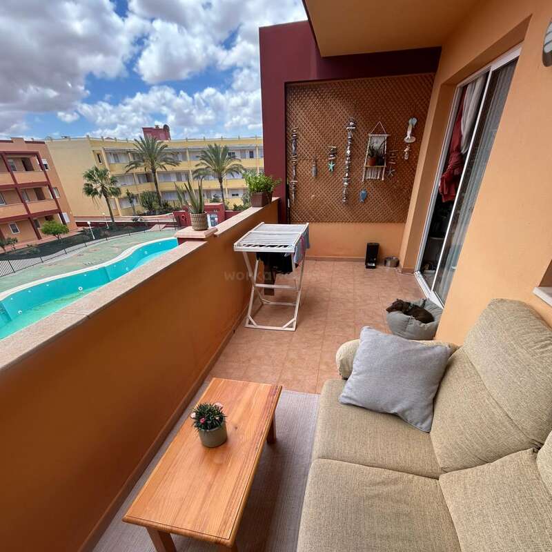 Uma varanda aconchegante com um sofá bege, uma mesa de madeira, um vaso de planta, um varal e decoração na parede tem vista para uma piscina e palmeiras sob um céu azul.