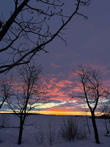 Des arbres dénudés encadrent un paysage hivernal serein. La neige recouvre le sol, tandis qu'un coucher de soleil époustouflant peint le ciel d'oranges, de roses et de violets vifs au-dessus de l'horizon.