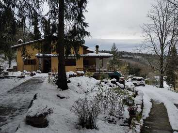 A yellow house stands surrounded by snow-covered trees and paths. A car is parked outside. The winter landscape is serene, with a cloudy sky overhead.