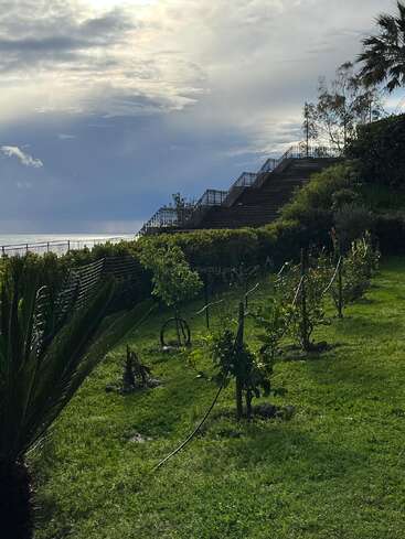 A lush green garden with small trees and a palm, overlooking the ocean. A large staircase and dramatic cloudy sky complete this serene, scenic landscape.
