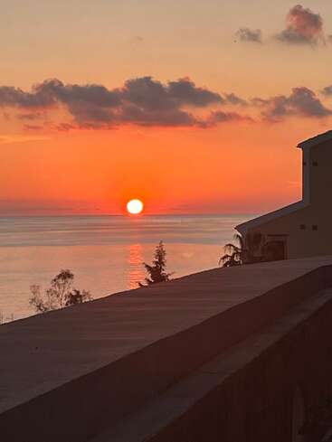The vibrant orange sun sets over calm ocean waters, casting a warm glow. Silhouetted trees and a building frame the peaceful and beautiful evening scene.