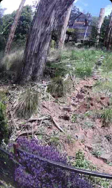 A rustic garden scene features large tree trunks, scattered branches, green grass, and a stone path. Purple flowers line a fence, with a house visible behind.