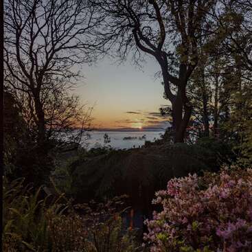 A imagem mostra um nascer ou pôr do sol tranquilo com um céu alaranjado, árvores em silhueta, vegetação exuberante, flores desabrochando e uma camada distante de névoa.