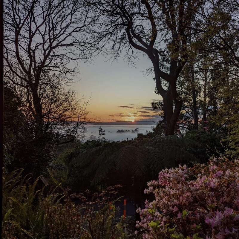 The image shows a tranquil sunrise or sunset with an orange sky, silhouetted trees, lush greenery, blooming flowers, and a distant layer of mist.