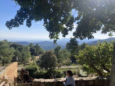 A person sits on a stone wall under leafy trees, overlooking a scenic valley with rolling hills, lush green forest, bright sunlight, and a brown horse nearby.