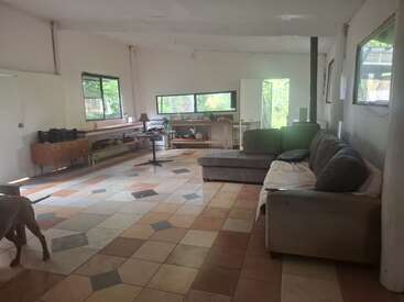 Uma sala de estar espaçosa e bem iluminada, com janelas amplas, sofá modular, piso de azulejo, mobília minimalista, cozinha em plano aberto e um cachorro marrom parcialmente em primeiro plano.