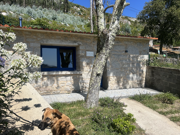 A stone house with blue window frames sits in a sunny, rural landscape. A brown dog stands in the foreground near flowers and a tree.