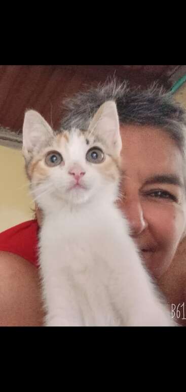 La imagen muestra a una persona de pelo castaño corto, con camisa blanca y pantalones negros, de pie frente a una pared beige, con las manos en la cadera.