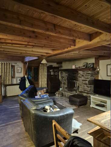 This cozy living room features wooden beams, stone fireplace, rustic decor, leather sofas, and three dogs lounging comfortably. Natural light, framed pictures, and homey warmth fill the space.