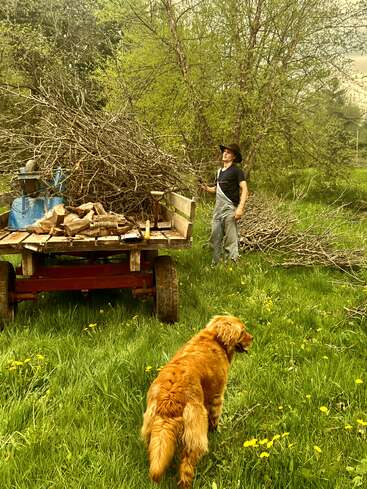 Un homme en salopette se tient près d'une remorque chargée de branches et de bois, tandis qu'un golden retriever se promène à proximité sur l'herbe verte et luxuriante du printemps.