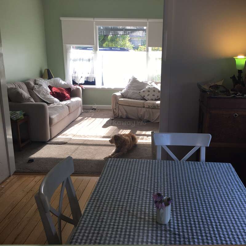 The image depicts a cozy living room with a dining area, featuring a couch, table, and dog, bathed in natural light from a large window.